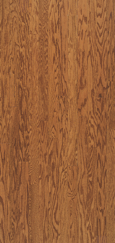 Elevation - Cascade Range