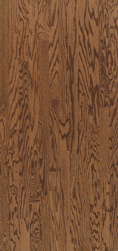 Elevation - Teton Range