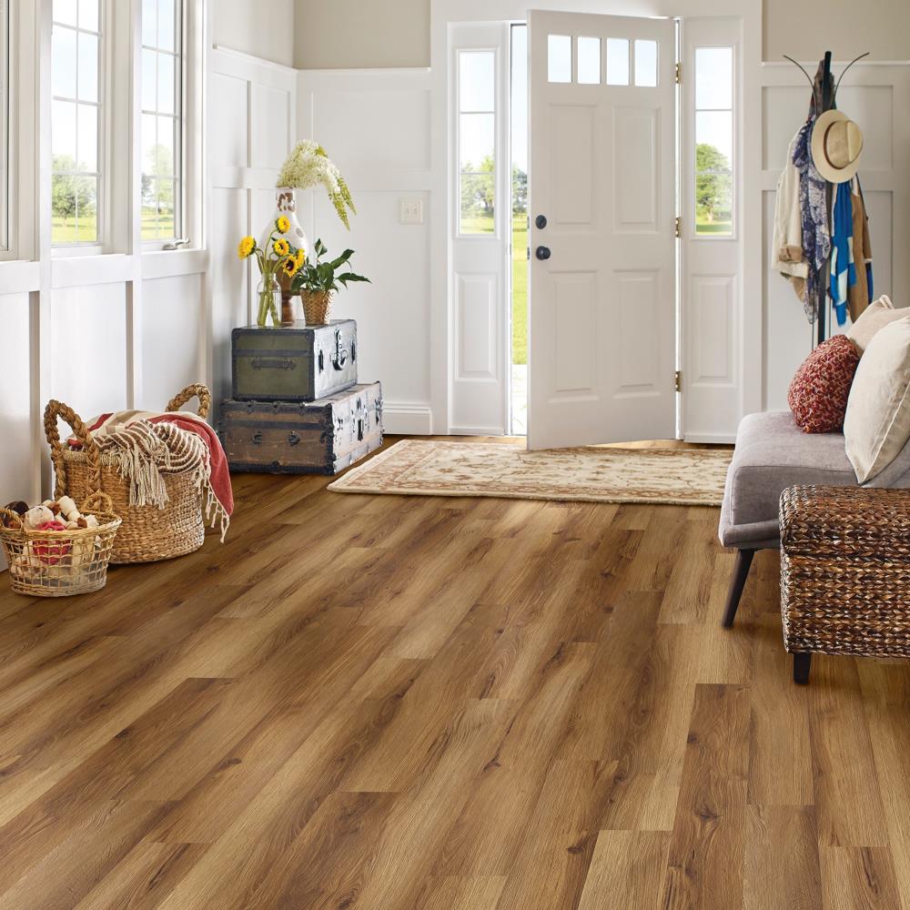 The Comfort Collection