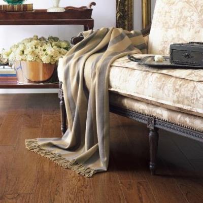 The Elevation Collection