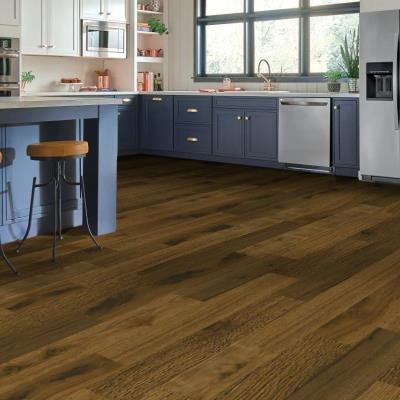 The Wellspring Collection